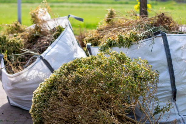 Best Yard Cleanup Services  in Roosevelt, NJ